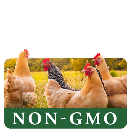 Non-GMO Animal Feed