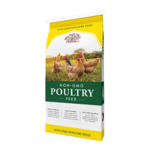 NON-GMO Poultry Feed